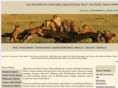 africansermonsafaris.org