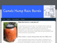 camels-hump.com