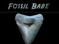 fossilbabe.com