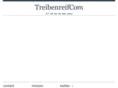 treibenreif.com