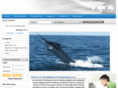 directbiggamefishingsupplies.com
