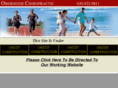 oberheidechiropractic.com