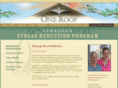 saratogastressreduction.com