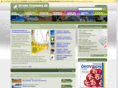 green-economy.mobi