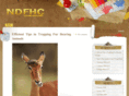 ndfhc.org