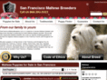 sanfranciscomaltesebreeders.com