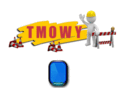 tmowy.com