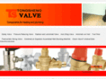 ts-valve.com