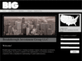 bigbizllc.com