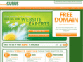hostinggurus.net