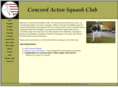 casquash.com