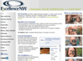 excellencenw.org