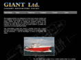giantlimited.com