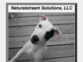 naturalstream.com