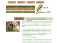 practicalvetsolutions.com
