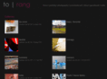 torang.com