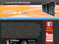 dotbiz-domain-name-hosting.biz