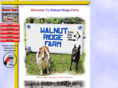 walnutridgefarm.com