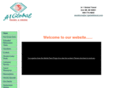 a-1globaltravel.com