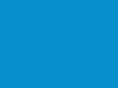 pantone313.com