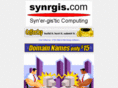 synrgis.com