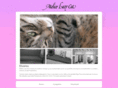 atelierlazycat.com