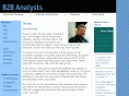 b2banalysts.com