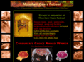 mountainoasisretreat.com