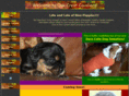 oakcrestcavs.com