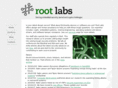 rootlabs.com