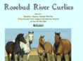 rrcurlyhorse.com