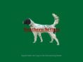 southernsetters.com