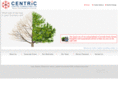 centric-consult.com