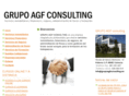 grupoagfconsulting.es