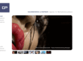 gundp-werbeagentur.com