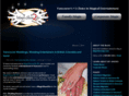 magicshow2go.com