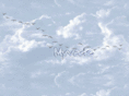 myvade.com