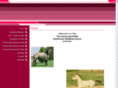 viahorses.com