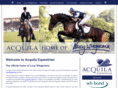 acquilaequestrian.com