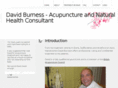 davidburness.com
