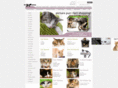 formykitten.com