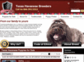 texashavanesebreeders.com