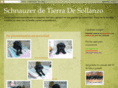 tierradesollanzo.com