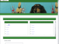 wedest.info