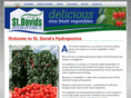 stdavidshydroponics.com