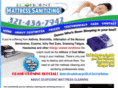 themattresssanitizers.com