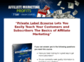 affiliatemarketing-profit.com