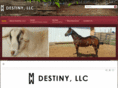 destinyllc.net