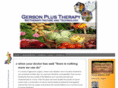 gersonplus.com
