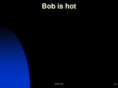 bobishot.com